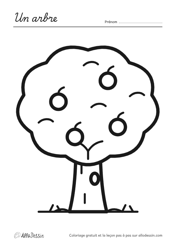 Coloriage d'un arbre à imprimer, format A4