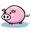 dessin de cochon