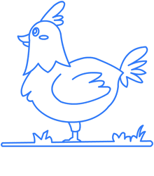 dessiner une poule - etape 5