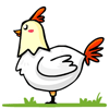 dessin de poule