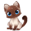 dessin de chat