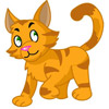 dessin de chat