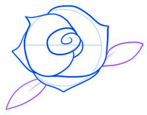 dessiner une rose rouge - etape 6 dessiner une rose rouge - etape 6