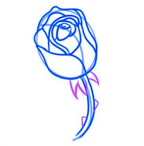 dessiner une rose rouge - etape 5
