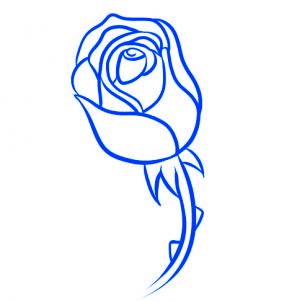 ment dessiner une rose rouge 2 671