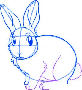 comment dessiner un lapin - etape 4