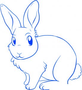 comment dessiner un lapin - etape 5