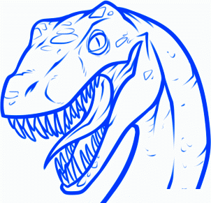 dessiner un raptor - etape 8