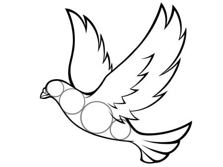 dessiner un oiseau type Colombe - etape 5