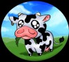 dessin de bebe vache