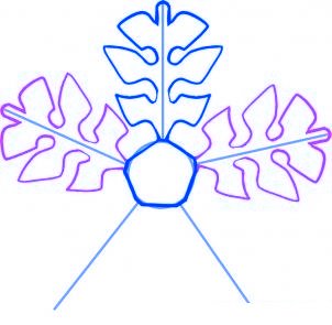 dessiner un flocon de neige de noel - etape 4 dessiner un flocon de neige de noel - etape 4