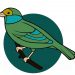 Comment dessiner un oiseau
